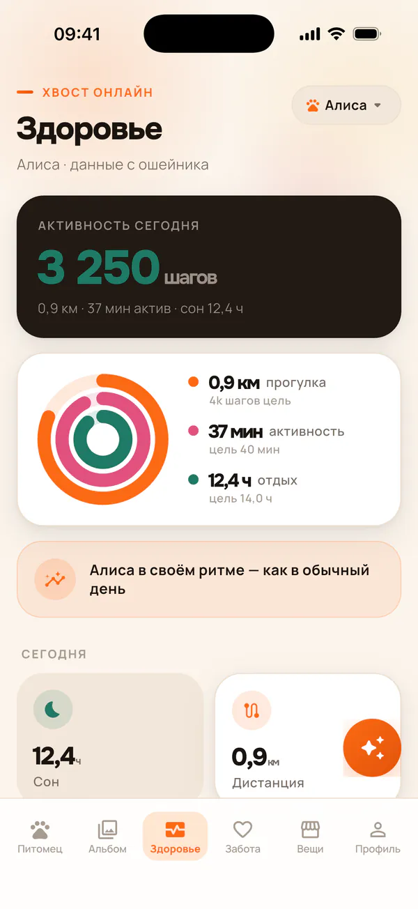 Экран «Здоровье»: шаги, прогулка, активность и сон