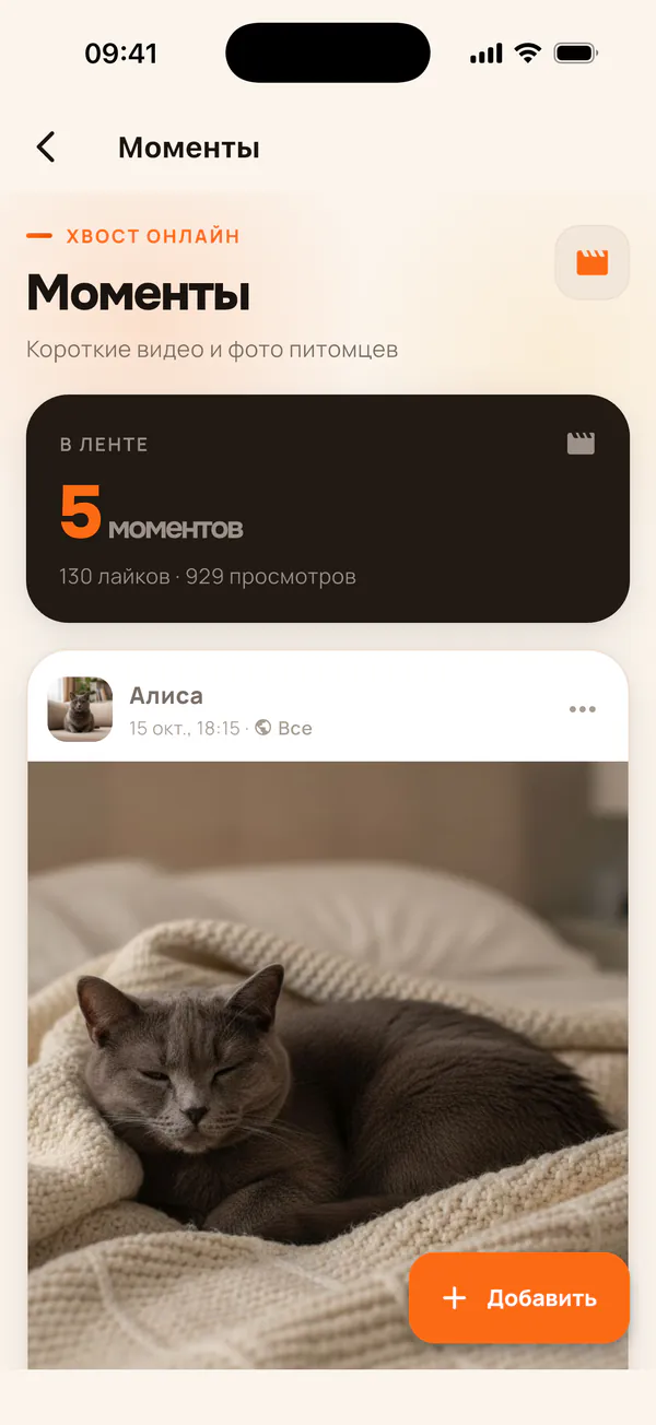 Лента «Моменты» с фото питомца